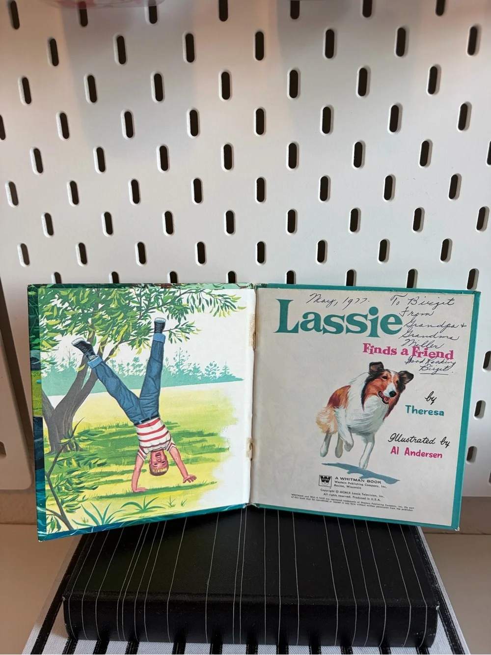 1970s Lassie Finds a Friend Children's Book - Brown & White